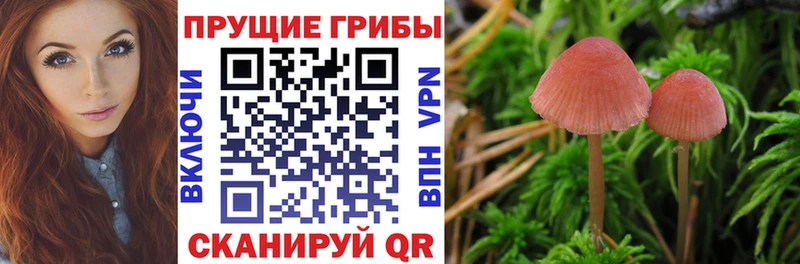 Галлюциногенные грибы Psilocybine cubensis  Белинский 
